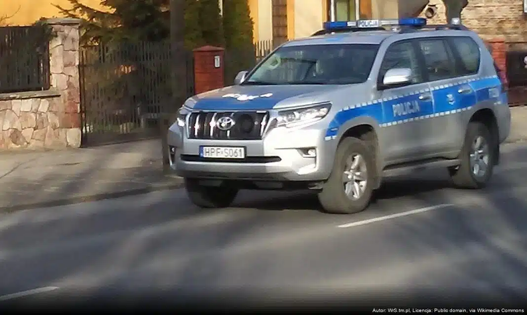 Bezpieczeństwo podczas VII Patriotycznego Biegu Ulicznego w Budkach