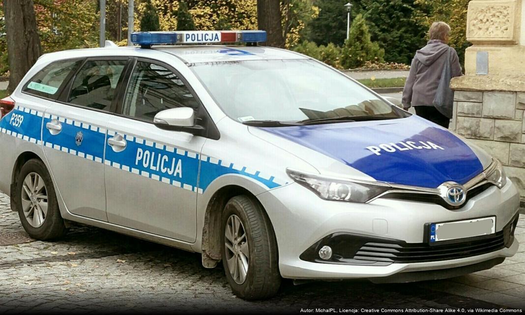 Światowy Dzień Pamięci Ofiar Wypadków Drogowych – Apel Policji do Mieszkańców Mazowsza