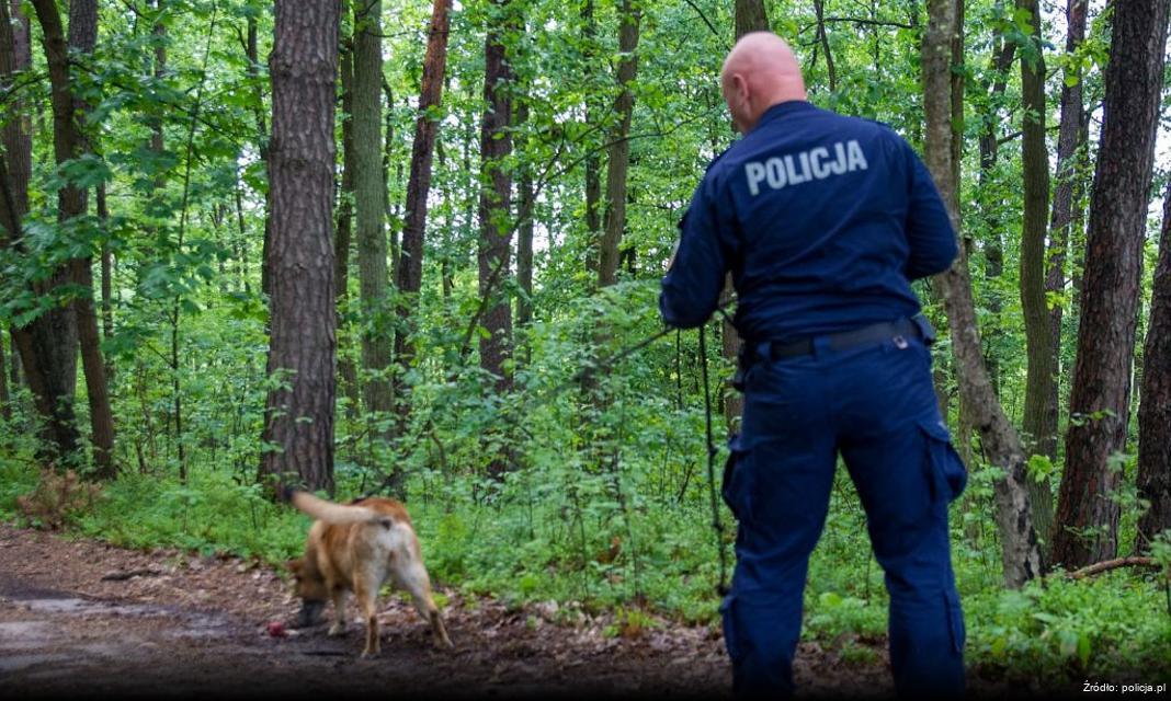 Uwaga na oszustwa za pośrednictwem komunikatorów społecznościowych