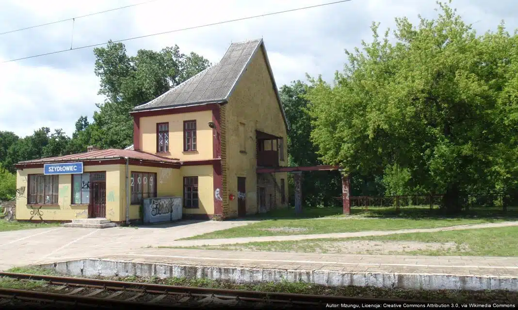 Wyniki konkursu ofert na realizację zadań publicznych w Gminie Szydłowiec