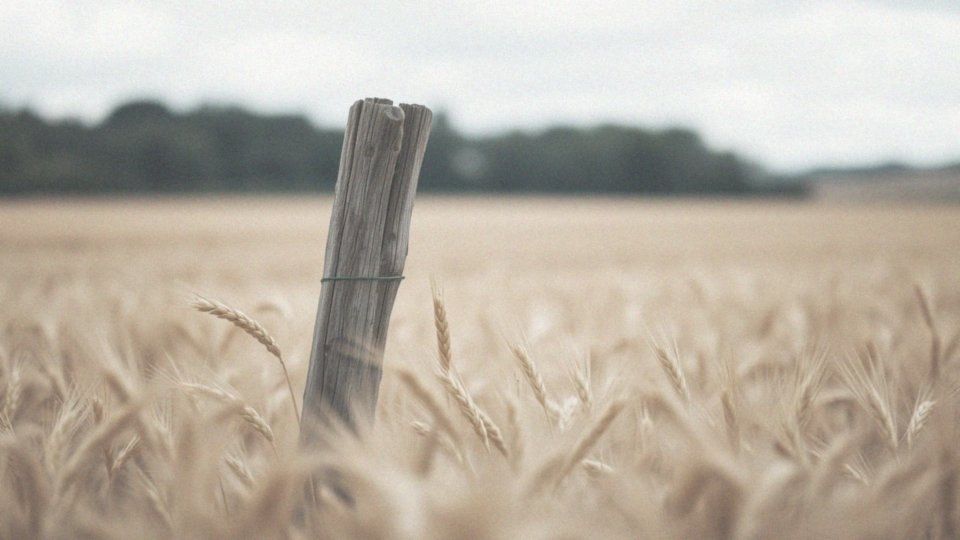 Ziarnica złośliwa – rokowania i kluczowe informacje o chorobie